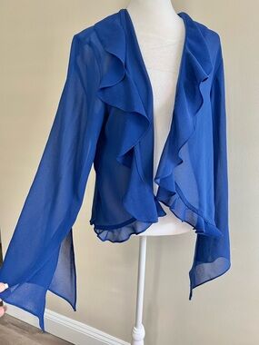 Vintage Fairycore Whimsy Blue Sparkly Ruffle Open Front Flare Sleeve Blouse